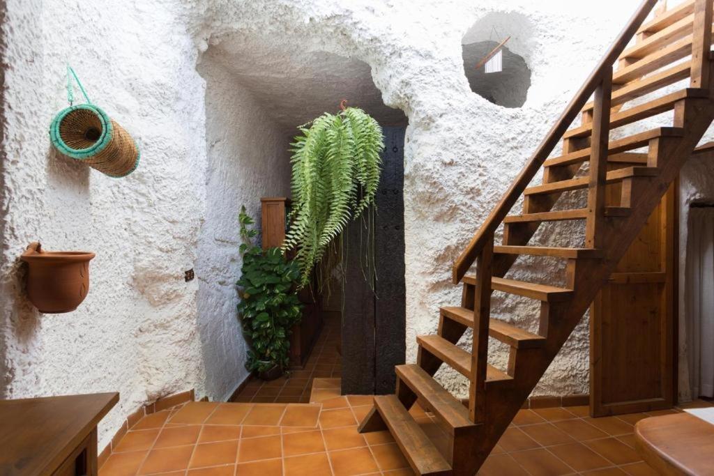 Willa Live Socorro Cave Güimar Zewnętrze zdjęcie